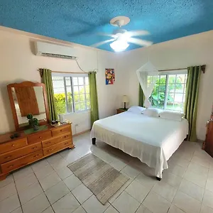 Guest house Green's Palace Jamaica ***